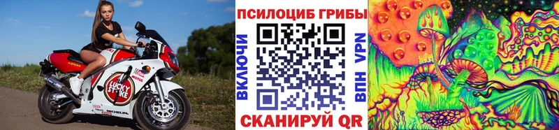 дарнет шоп  Ликино-Дулёво  Псилоцибиновые грибы прущие грибы 